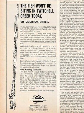 1983 Izaak Walton League Vintage Print Ad Twitchell Creek Adirondacks Acid Rain